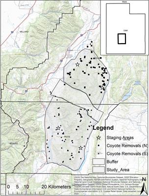Both temporal and spatial aspects of predator management influence survival of a temperate ungulate through early life